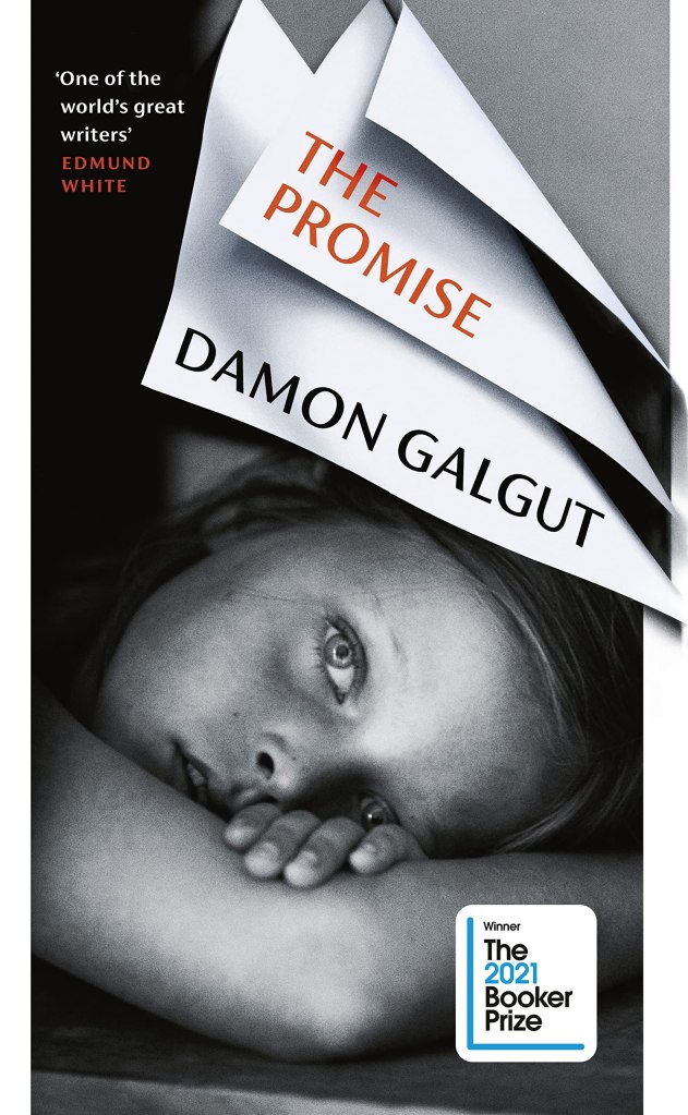 Front cover of the 'The Promise' by Damon Galgut